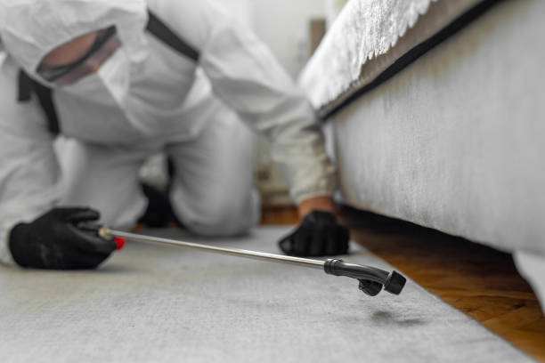 Professional Emergency Pest Control technician working in East Norwich, NY